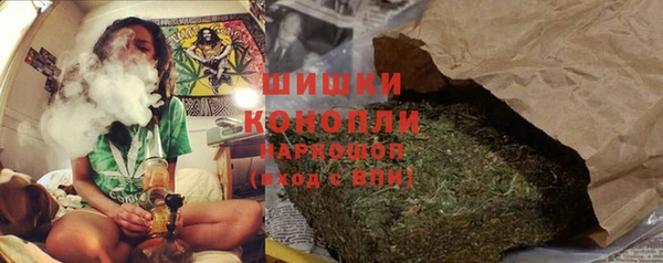 дживик Белокуриха