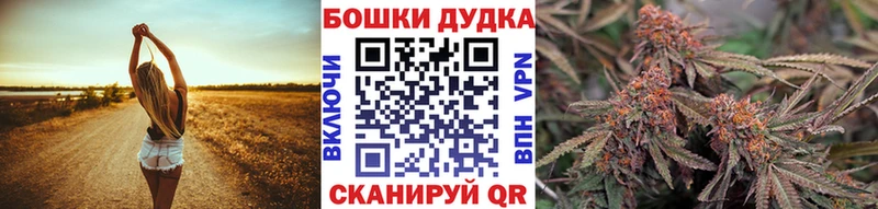 Бошки Шишки THC 21%  Шилка 